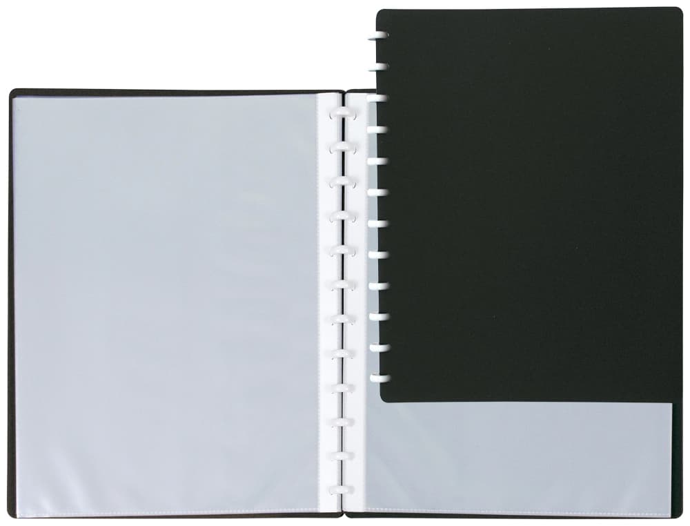 Carpeta liderpapel escaparate 20 fundas polipropileno din a4 opaco