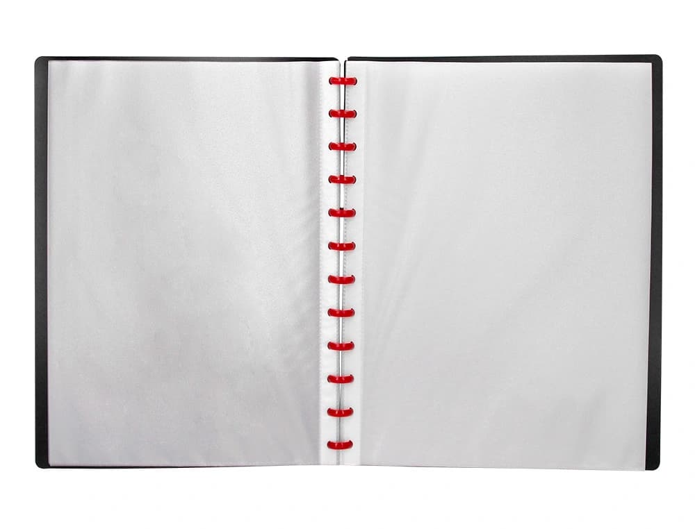 Carpeta liderpapel escaparate 20 fundas polipropileno din a4 opaco