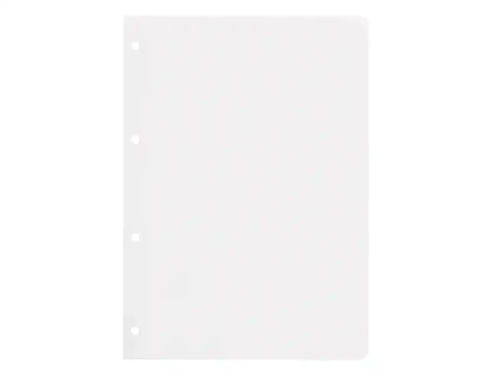 Recambio liderpapel a4 100 hojas 100gr liso sin margen 4 taladros