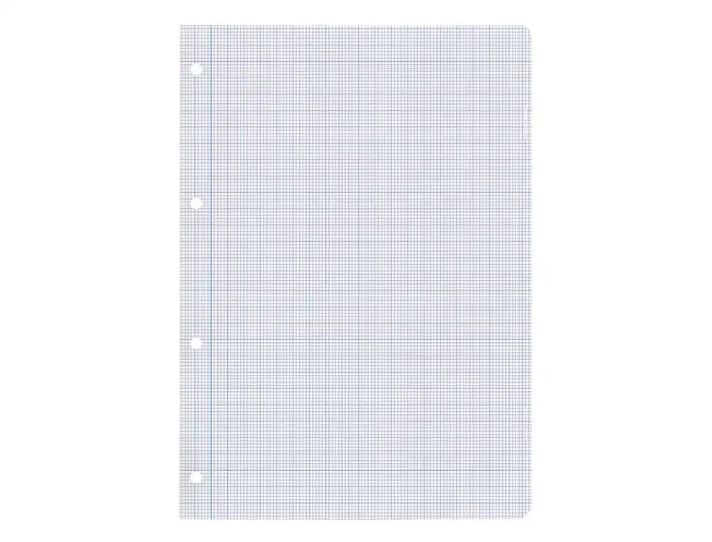 Recambio liderpapel a4 100 hojas 100gr milimetrado 2mm sin margen 4 taladros