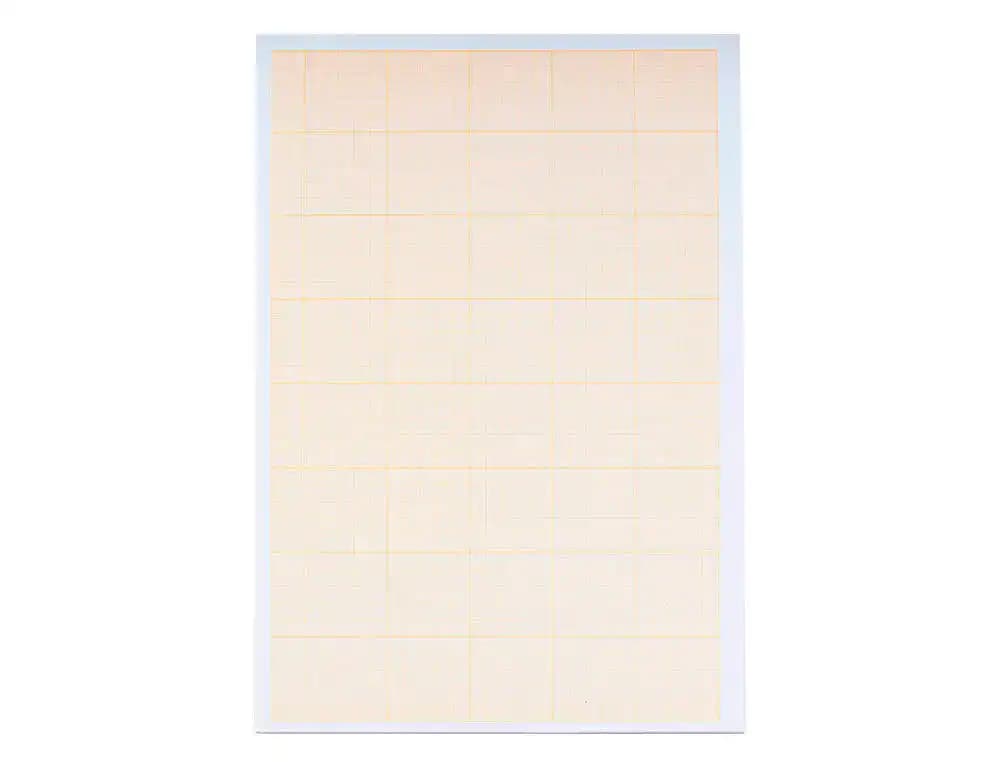 Papel dibujo liderpapel 210x297mm 80g/m2 milimetrado pack de 10 hojas