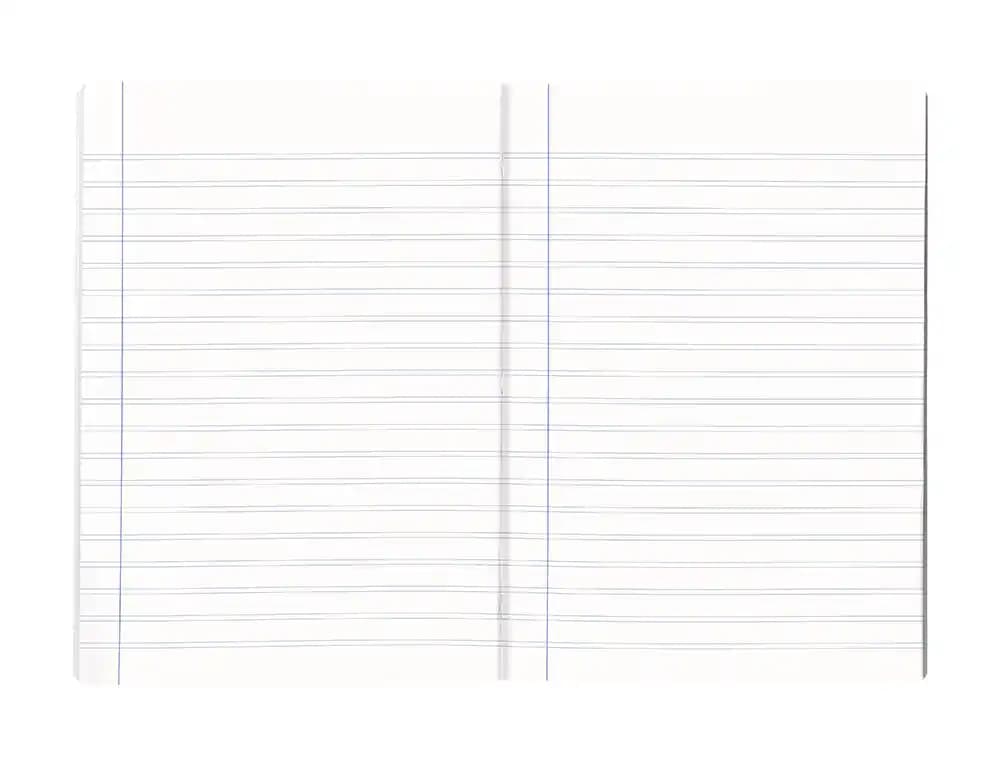 Libreta liderpapel scriptus a4 48 hojas 90gr pauta 5ª 2.5mm con margen