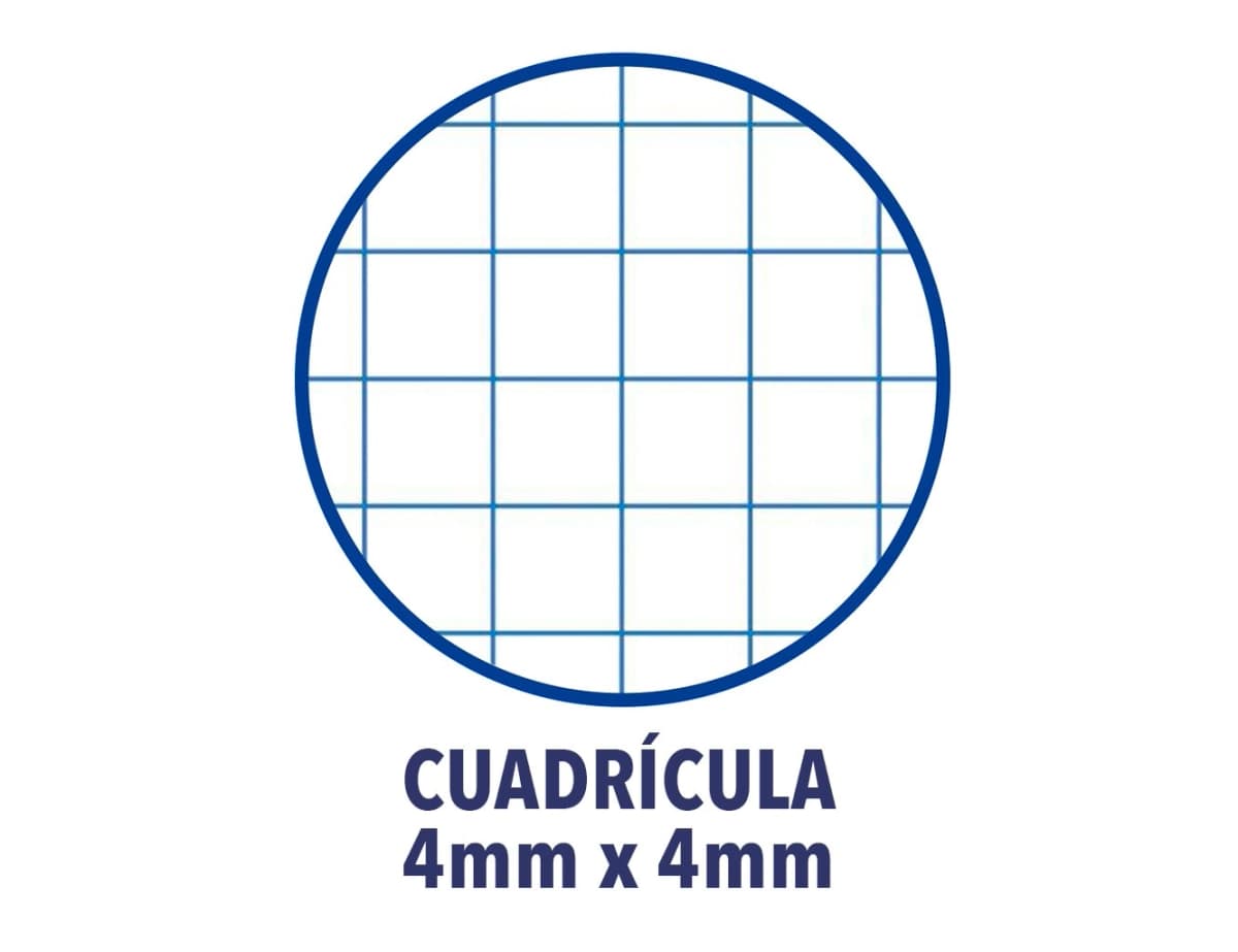 Bloc espiral oxford cartoncillo 80 hojas cuadros 4 mm