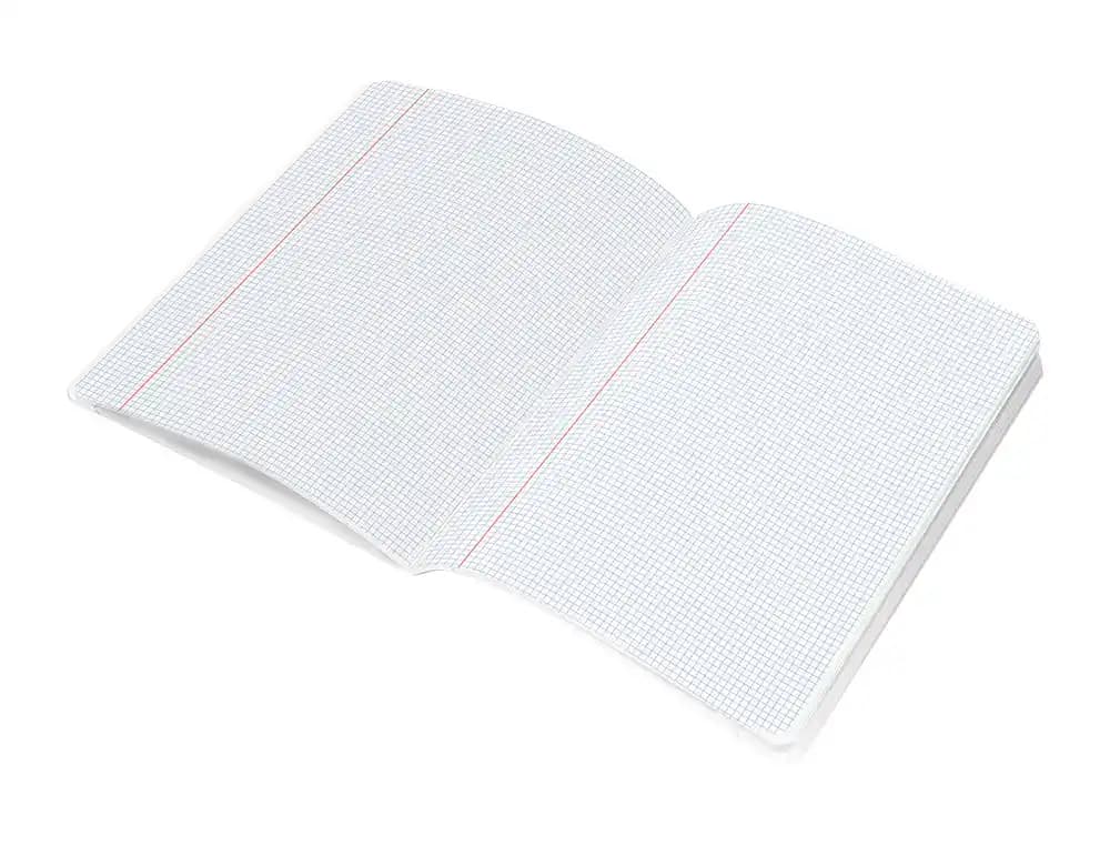 Libreta liderpapel scriptus a5 plus 48 hojas 90gr cuadro 3mm con margen