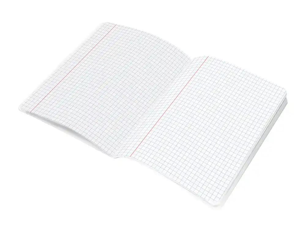 Libreta liderpapel scriptus a5 48 hojas 90gr cuadro 6mm con margen