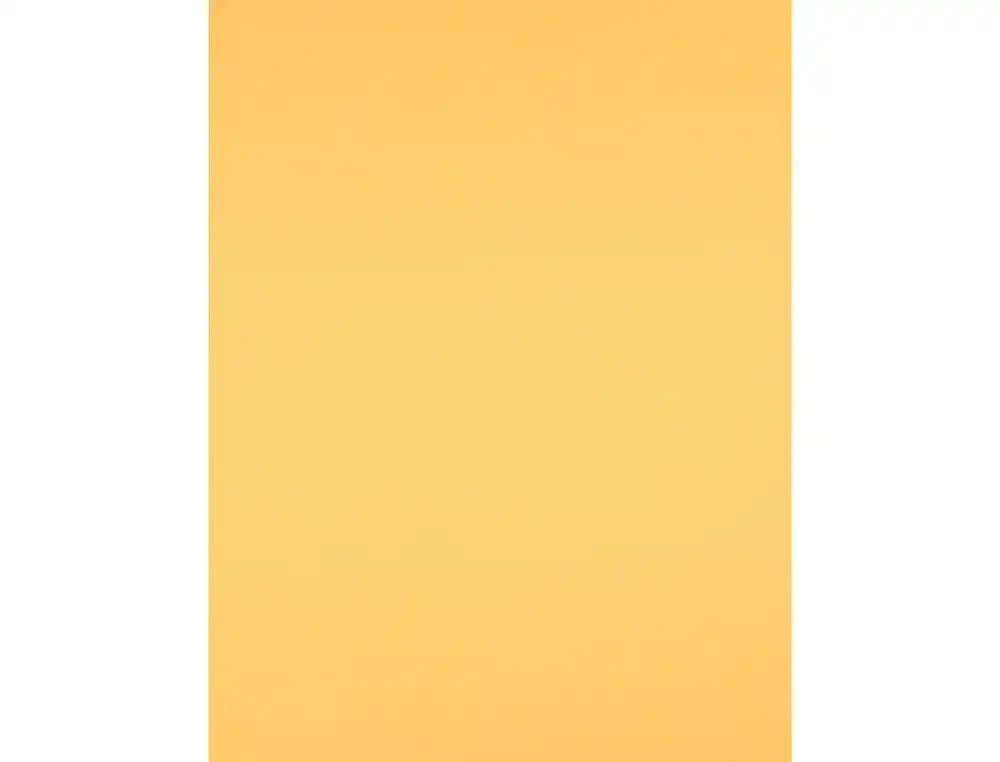 Cartulina liderpapel 50x65 cm paquete de 25 hojas