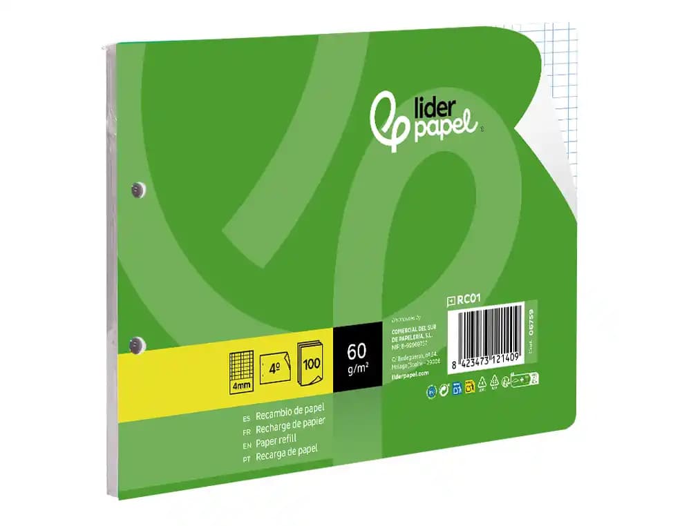 Recambio liderpapel cuarto apaisado 100 hojas 60gr cuadro 4 mm 2 taladros con margen
