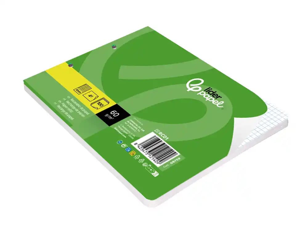 Recambio liderpapel cuarto apaisado 100 hojas 60gr cuadro 4 mm 2 taladros con margen