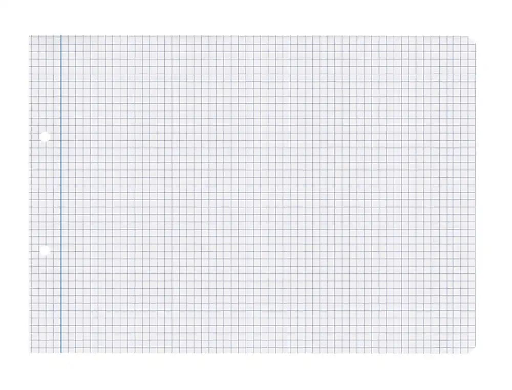 Recambio liderpapel cuarto apaisado 100 hojas 60gr cuadro 4 mm 2 taladros con margen