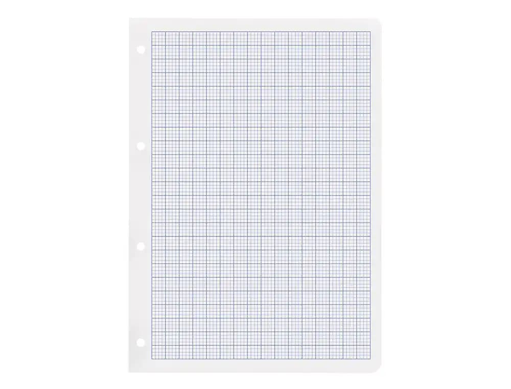 Recambio liderpapel a4 100 hojas 100gr rayado nº 46 4 taladros