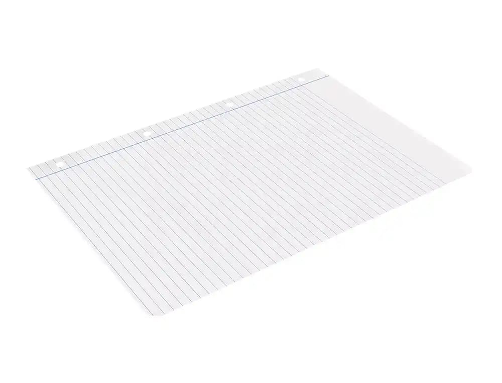 Recambio liderpapel a4 100 hojas 100gr rayado horizontal con margen 4 taladros