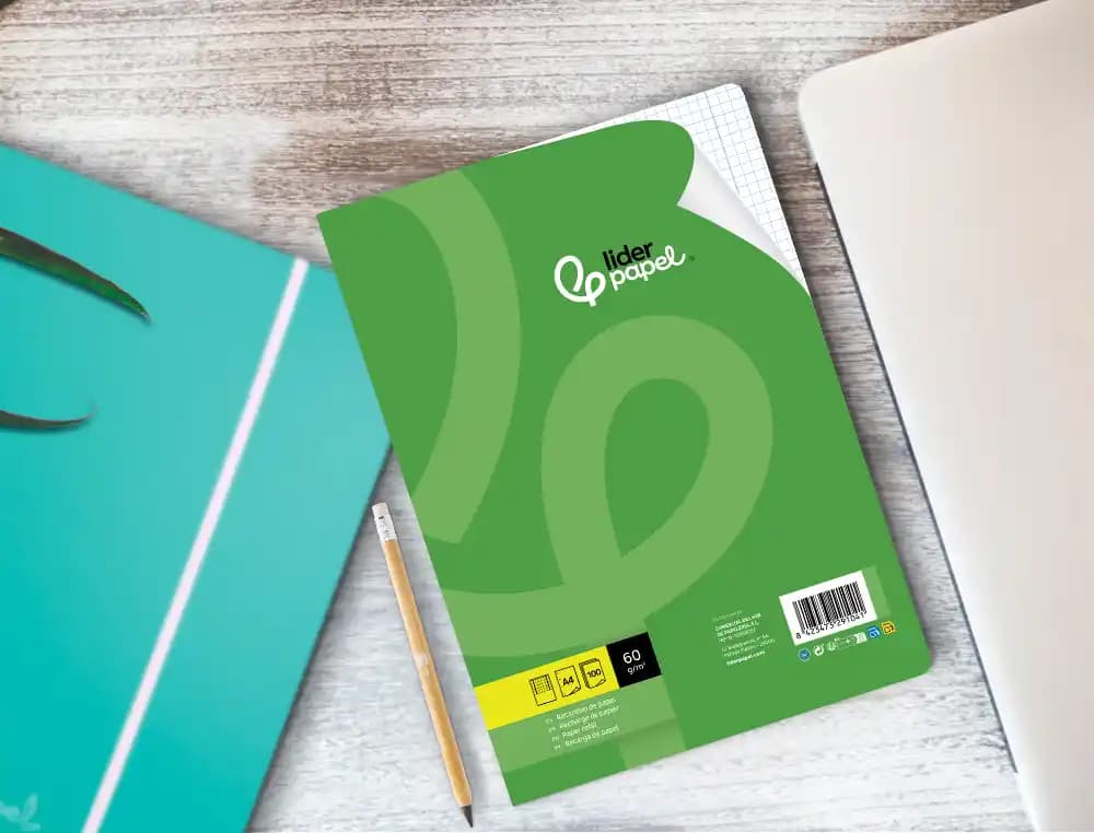 Recambio liderpapel a4 100 hojas 60gr cuadro 3 mm con margen 4 taladros