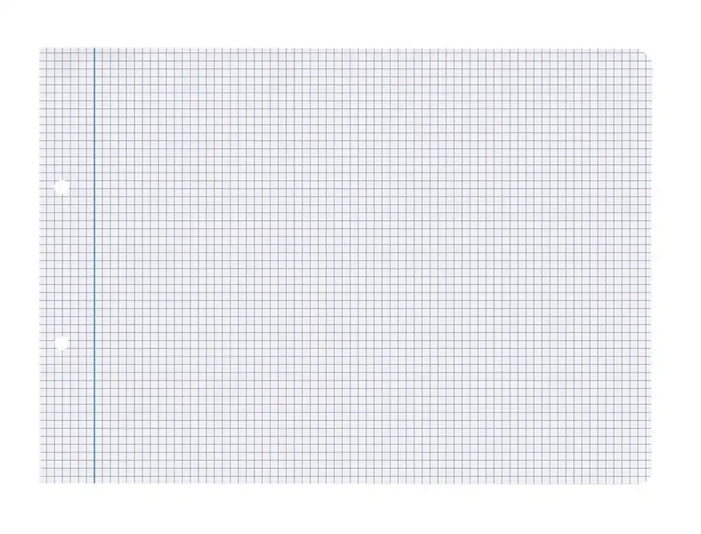 Recambio Liderpapel apaisado de 100 hojas, cuadro de 3 mm con margen y 2 taladros – Cuarto · 60g