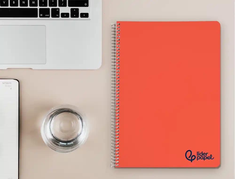 Cuaderno espiral liderpapel a4 wonder tapa plastico 80h 90gr milimetrado 2mm con margen colores surtidos