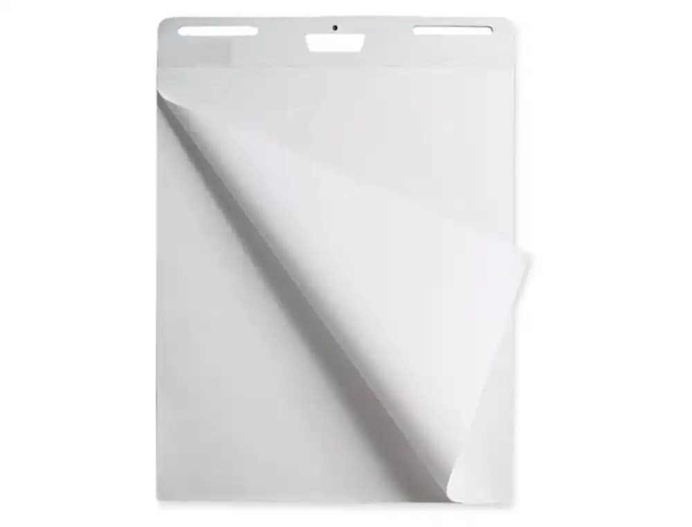 Bloc congreso liderpapel liso 630x840 mm 25+5 hojas 80g/m2