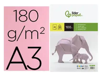Cartulina Liderpapel de colores, paquete de 100 hojas – Rosa