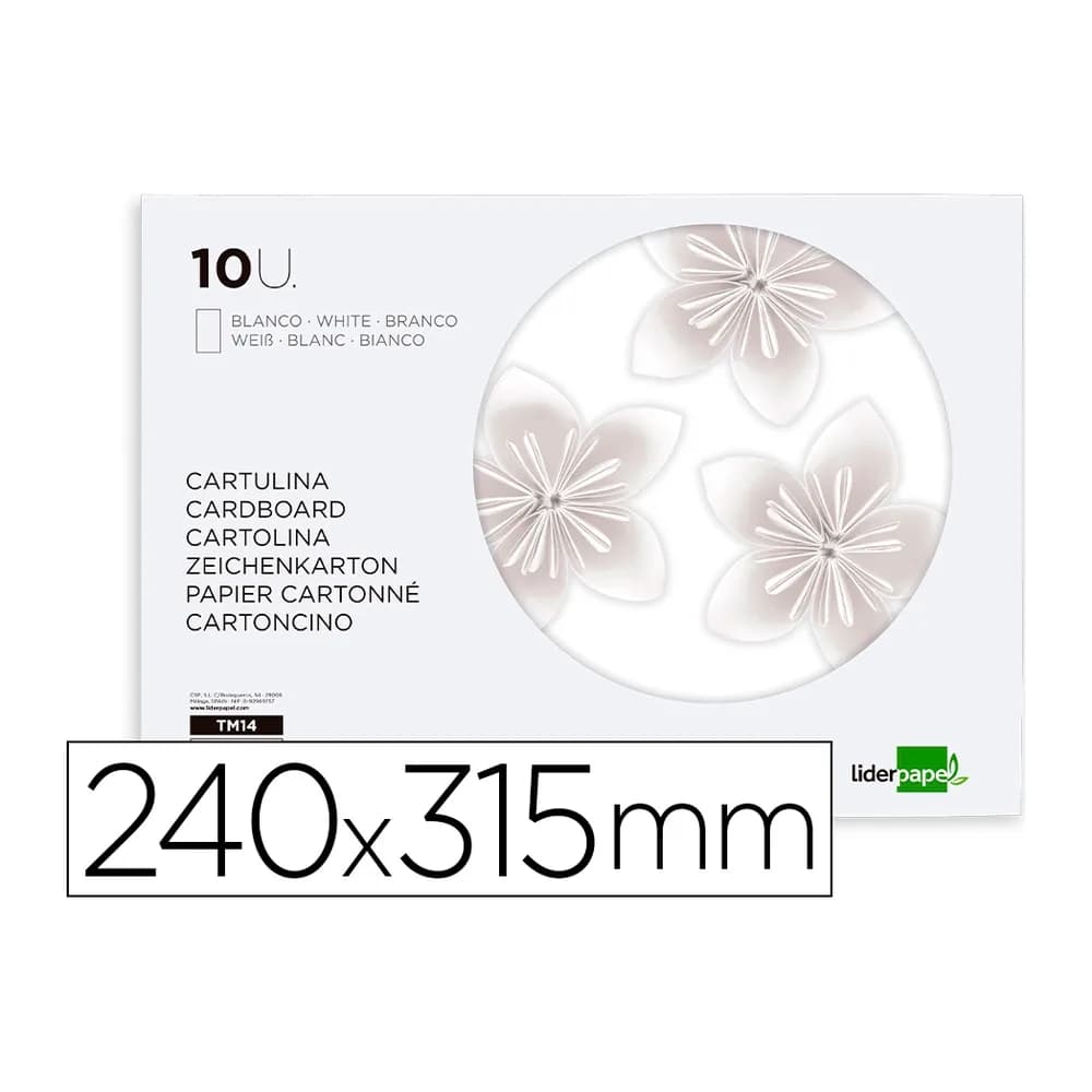 Liderpapel Bloc trabajos manuales liderpapel cartulina 240x315mm 10 hojas color blanco