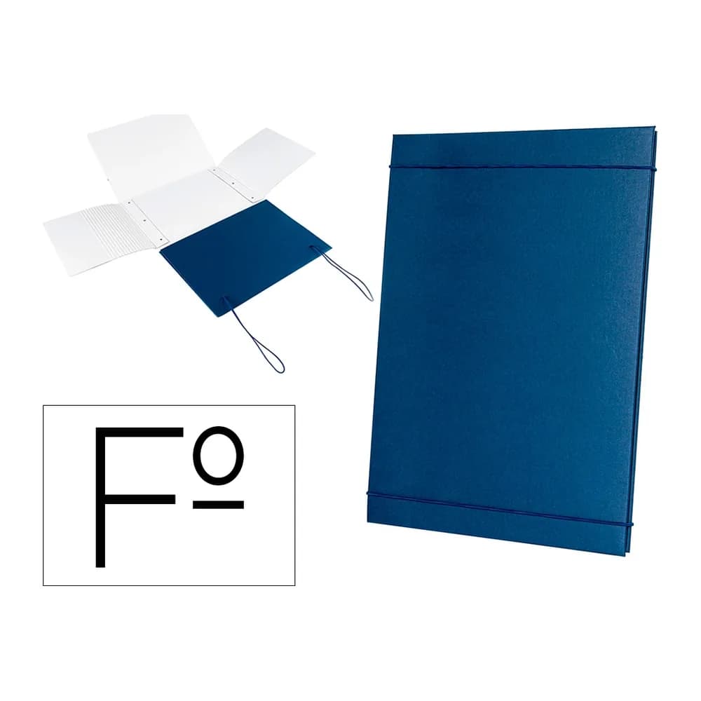 Liderpapel Carpeta de proyectos extensible gofrada